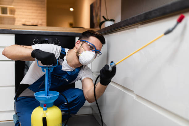 Best Flea Control Services  in Bay, AR
