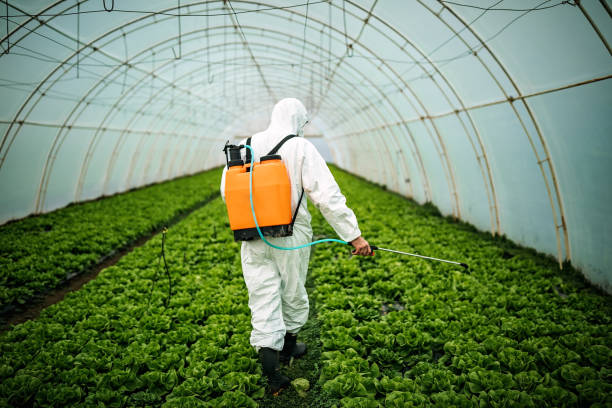 Best Pest Control for Restaurants  in Bay, AR