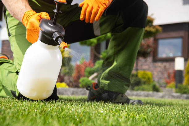 Best Pest Inspection Near Me  in Bay, AR