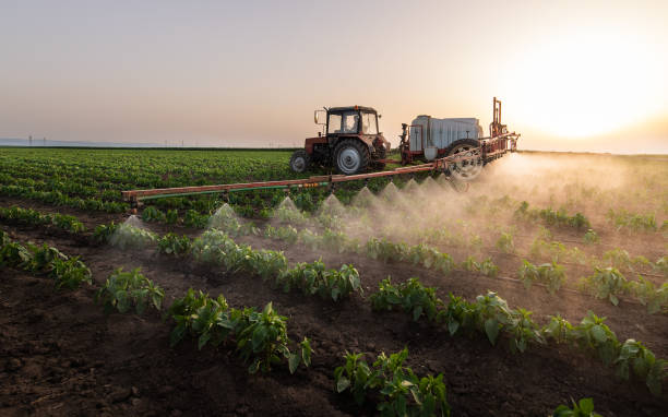 Best Pest Prevention Services  in Bay, AR