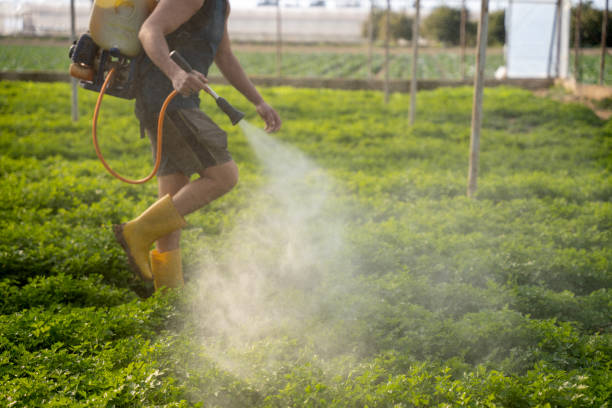 Best Exterminator Services  in Bay, AR