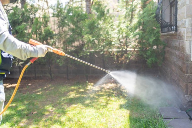 Best Wasp Removal Services  in Bay, AR