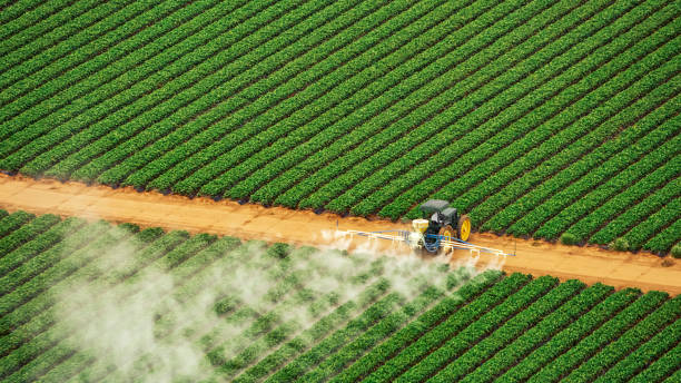 Best Best Pest Control Companies  in Bay, AR