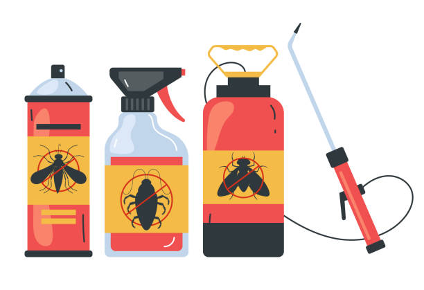 Trusted Bay, AR Pest Control Experts