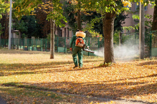 Best Affordable Pest Control Services  in Bay, AR