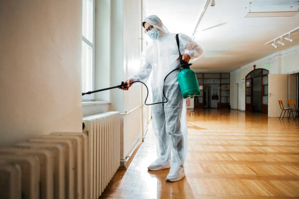 Best Emergency Pest Control  in Bay, AR