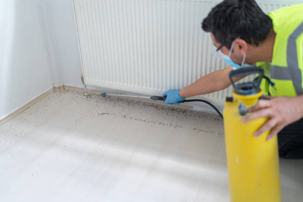 Best Pest Removal Services  in Bay, AR